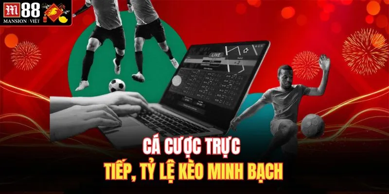 Cá cược trực tiếp, tỷ lệ kèo minh bạch