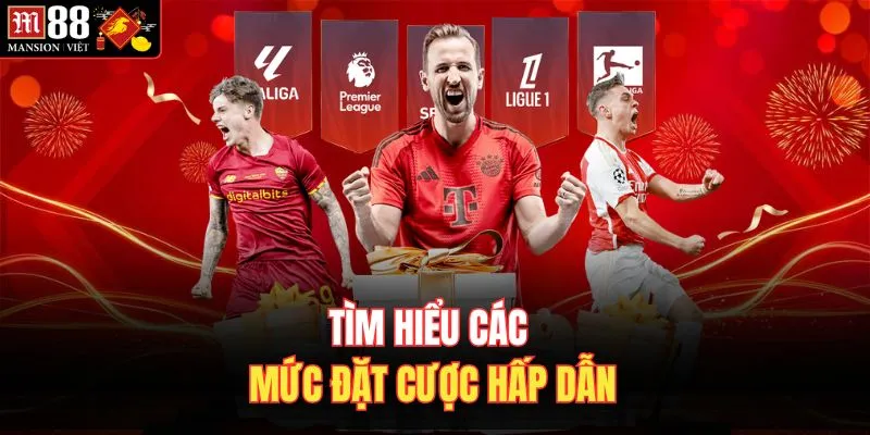 Tìm hiểu các mức đặt cược hấp dẫn